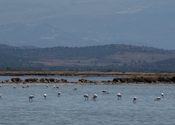 E FUNDIT: Parlamenti Evropian kërkon moratorium të menjëhershëm për zhvillimet në Vjosë-Nartë
