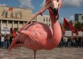 Protesta nuk mbaroi; Mbaruan iluzionet e pushtetit