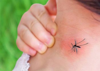 Alarm në Greqi! Virusi i Nilit Perëndimor përhapet me shpejtësi, 6 viktima dhe 65 të infektuar