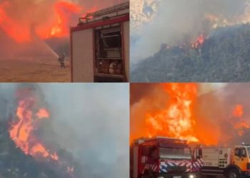 Situatë e rëndë nga zjarret, flakët përhapen pranë Tiranës; Lura digjet prej 48 orësh