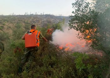 Zjarret në vend, 33 vatra në 24 orë: 8 mbeten aktive, forcat në terren