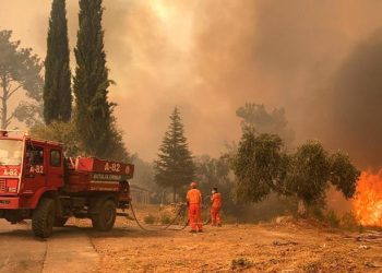 25 vatra zjarri në 24 orë në vend, katër ende aktive
