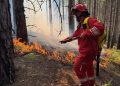 31 vatra zjarri në 24 orë, tre ende aktive! Dajti mbetet problematik