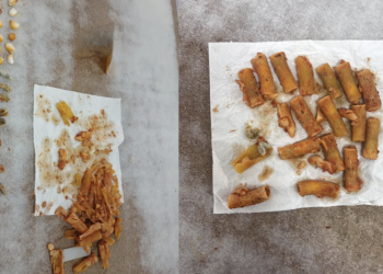 Kokaina si “guaska”, kanabisi si “karkaleca”/ Zbulohet si u fsheh droga në makaronat që hynë në burgun 313