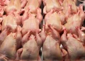Shqipëria mbushet me mish pule të rrezikshëm nga Tajlanda/ Shifrat nuk dalin: 88 tonë më shumë se importoi Kosova, dyshime për dokumentet