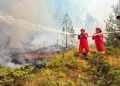 Shqipëria nën pushtetin e flakëve, 14 vatra aktive dhe qindra forca në terren