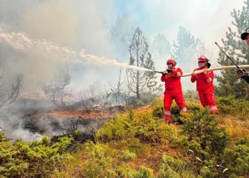Shqipëria nën pushtetin e flakëve, 14 vatra aktive dhe qindra forca në terren