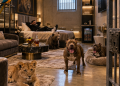“Airbnb” dhe kopsht zoologjik brenda burgjeve shqiptare/ Doçi: Suita me qira, luanë, arinj e pitbulla në qeli